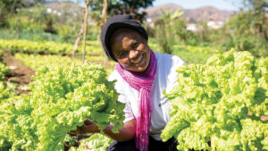 Vegetable Gardens Feed 2,000 Families in Madagascar