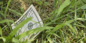 Half a 50-Dollar Bill in His Backyard