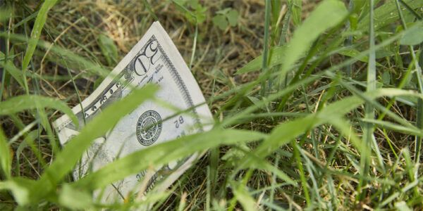 Half a 50-Dollar Bill in His Backyard
