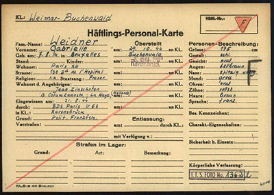 Gabrielle weidner’s personal card: This was Gabrielle’s personal history issued on arrival at Buchenwald.