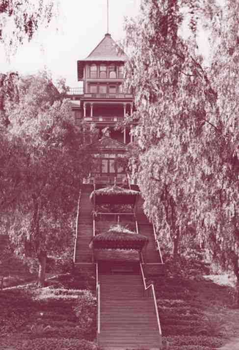 An undated archive photo of the grand staircase rising between two stately rows of trees. (LLUH)