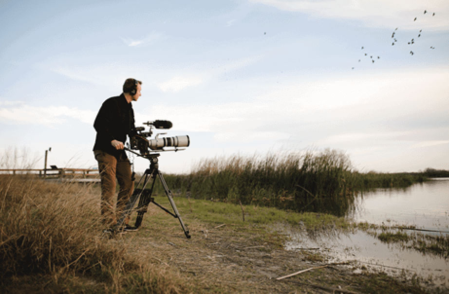 Mark Paden filming grackles in Texas, United States. [Photo: Geoscience Research Institute]