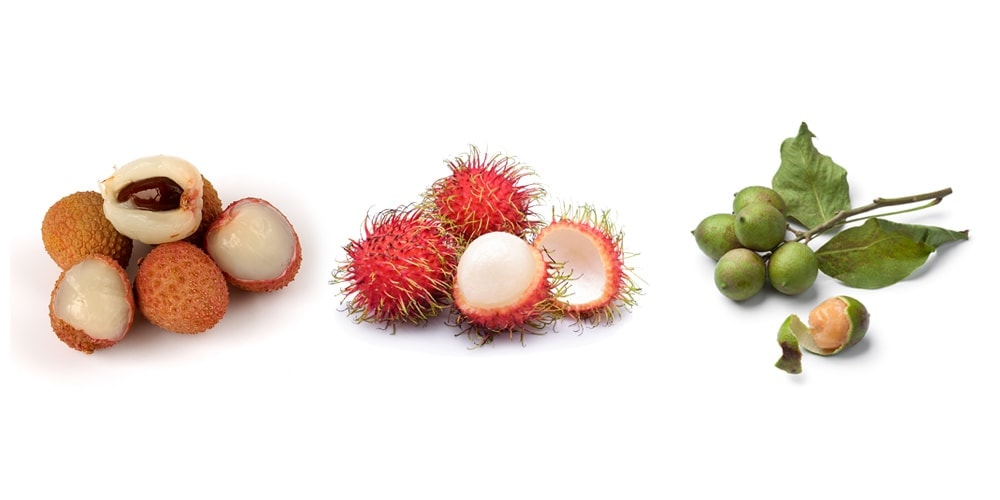 From left: lychees, rambutans, and limoncillos. (Luc Viatour; Picture Partners/istock/thinkstock; istock/thinkstock)