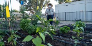LLU Health Donates Plot to Support Organic Community Garden Initiative