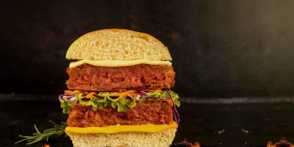 Adventist Food Factory Launches Meat-like Vegan Burger in Brazil