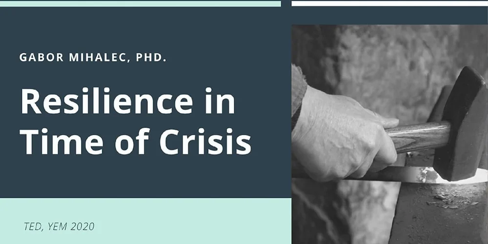 Crisis Resilience Review