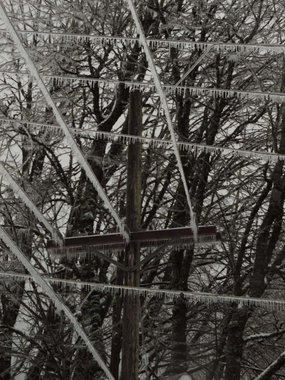 Ice clinging to power lines at the camp. Photo: Bill Gerber