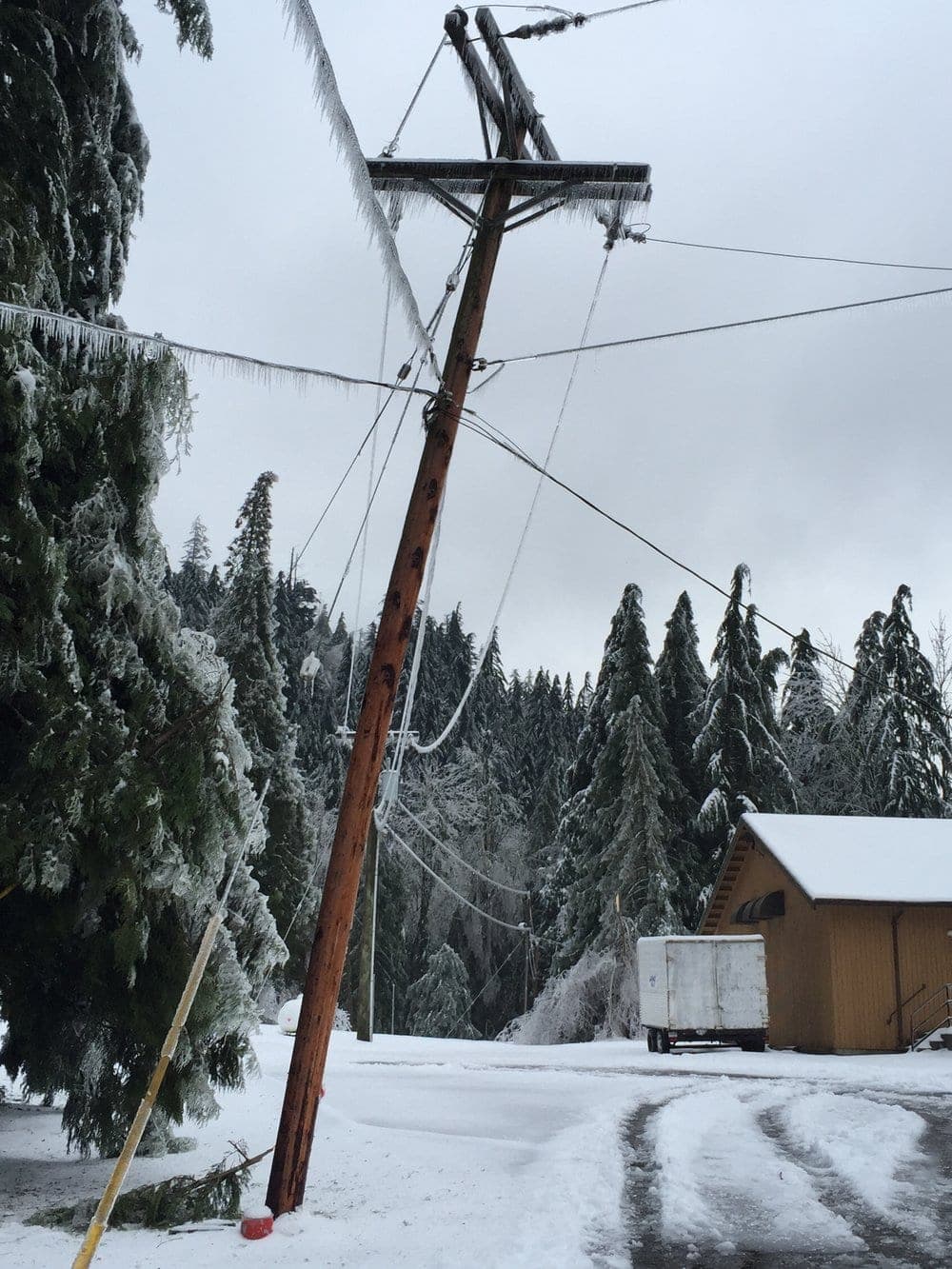 A power line pole teetering from the weight of ice. Photo: Bill Gerber