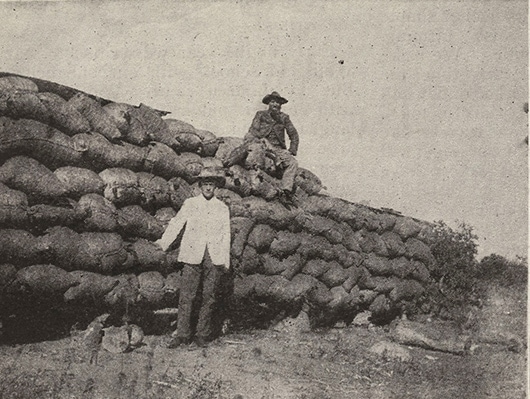 Missionaries Melvin C. Sturdevant (sitting) and Virgil Robinson (standing) with Solusi peanut crop [Courtesy of the General Conference of Seventh-day Adventists Archives]