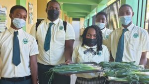 School Agricultural Courses Impact the British Virgin Islands Community