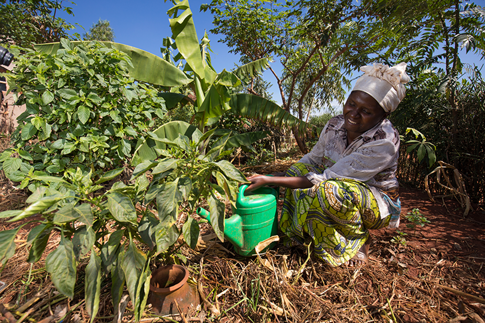 A woman in Rwanda refills the clay pot in her garden