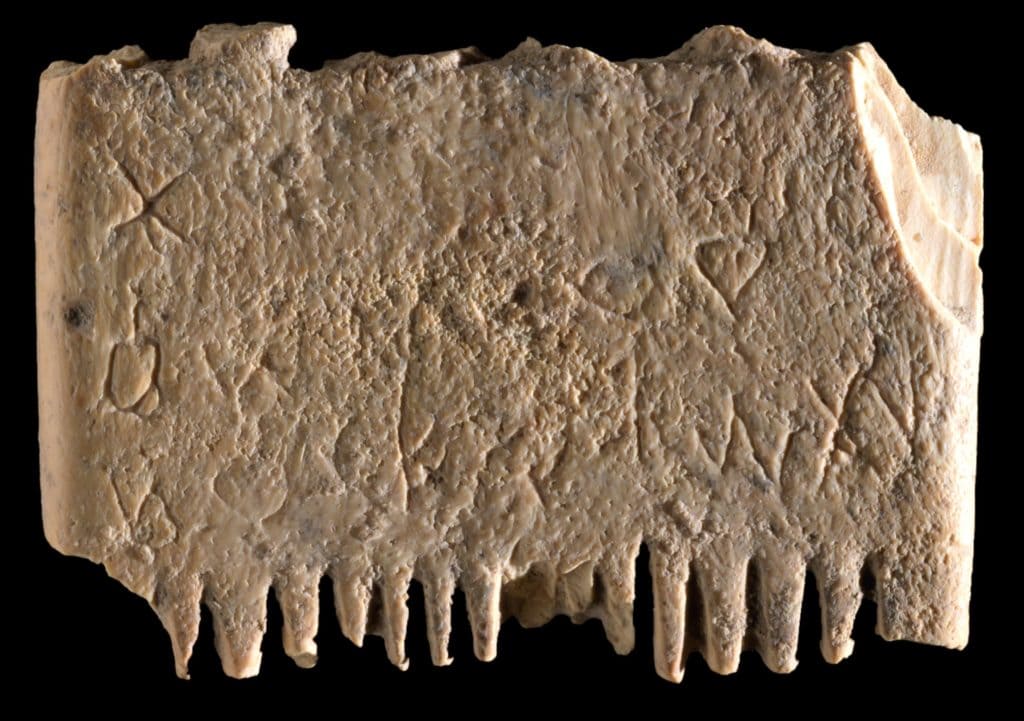 SAU Lachish 2 comb