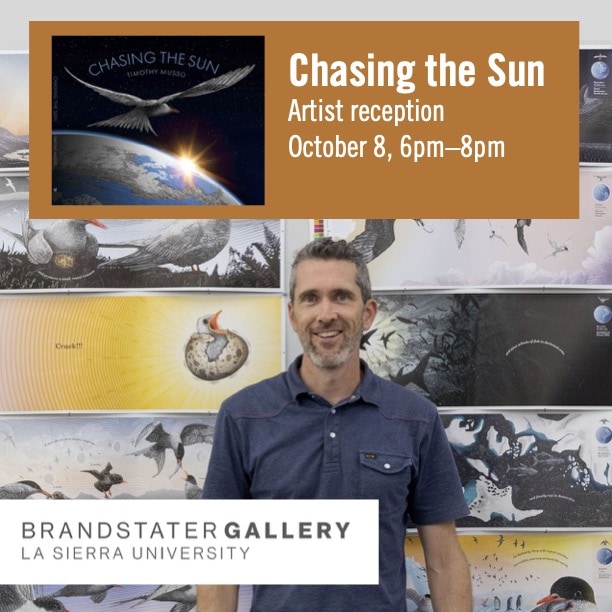 chasing the sun brandstater gallery 01
