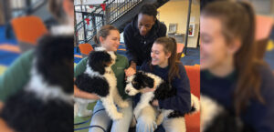 Therapy Dogs Join U.S. School in Ministering to Students