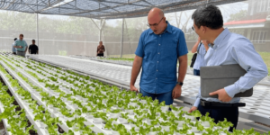 Adventist University Launches Hydroponic Greenhouse Project