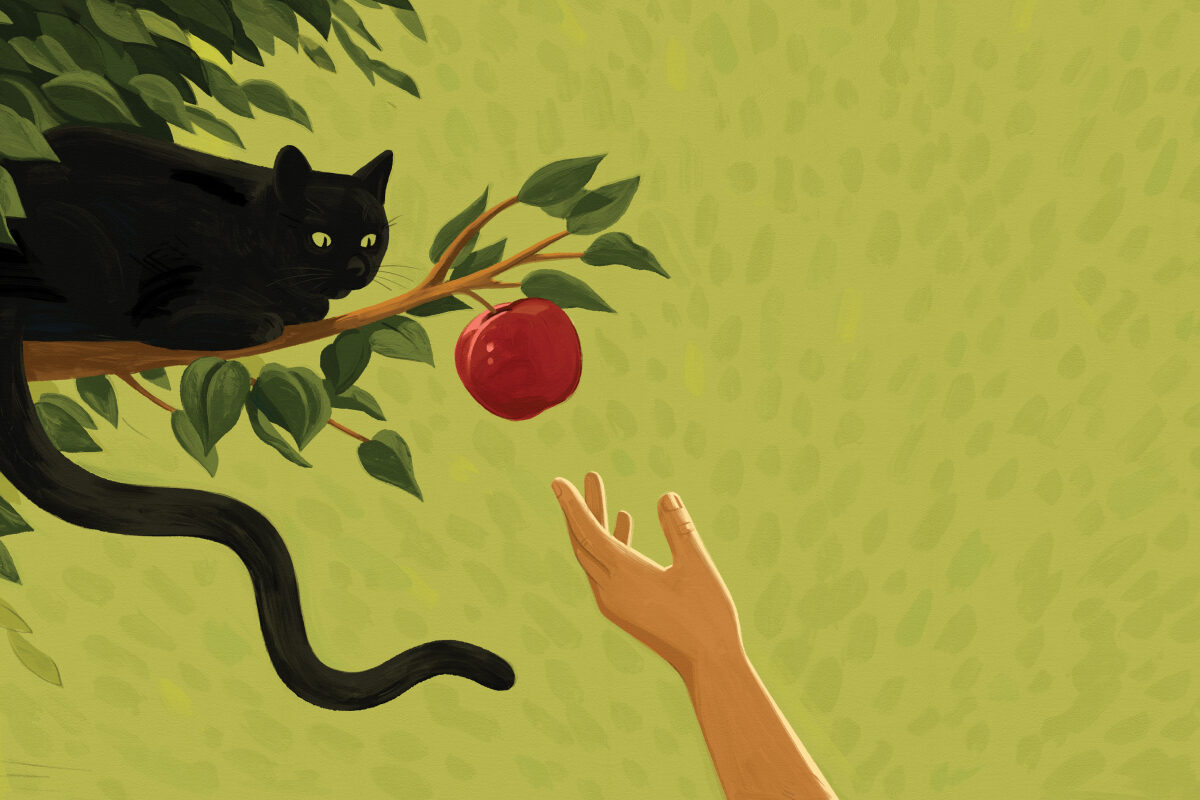 Illustration of a black cat lying on a tree branch above a red apple, while a hand reaches up toward the apple.